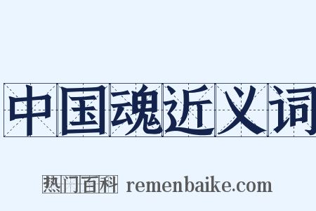 中国魂近义词是什么意思的图片